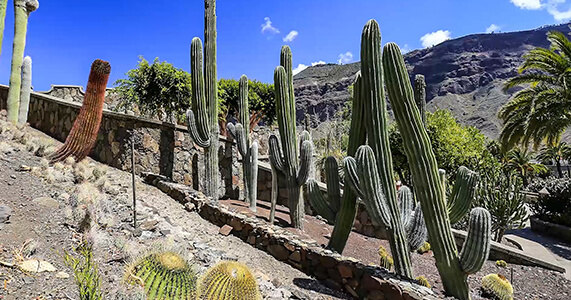 Cactualdea Park, Gran Canaria, Hiszpania